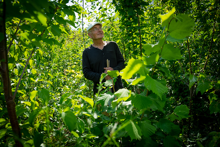 Image média: Une petite forêt en zone d'activités !