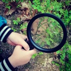 loupe.jpg