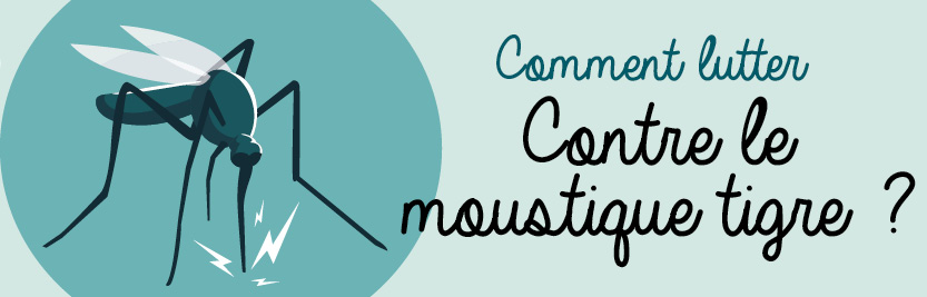 Image média: Lutte anti moustiques