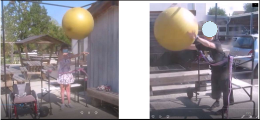 image (11).png