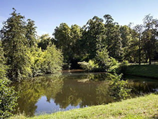 biodiversité au parx camponac
