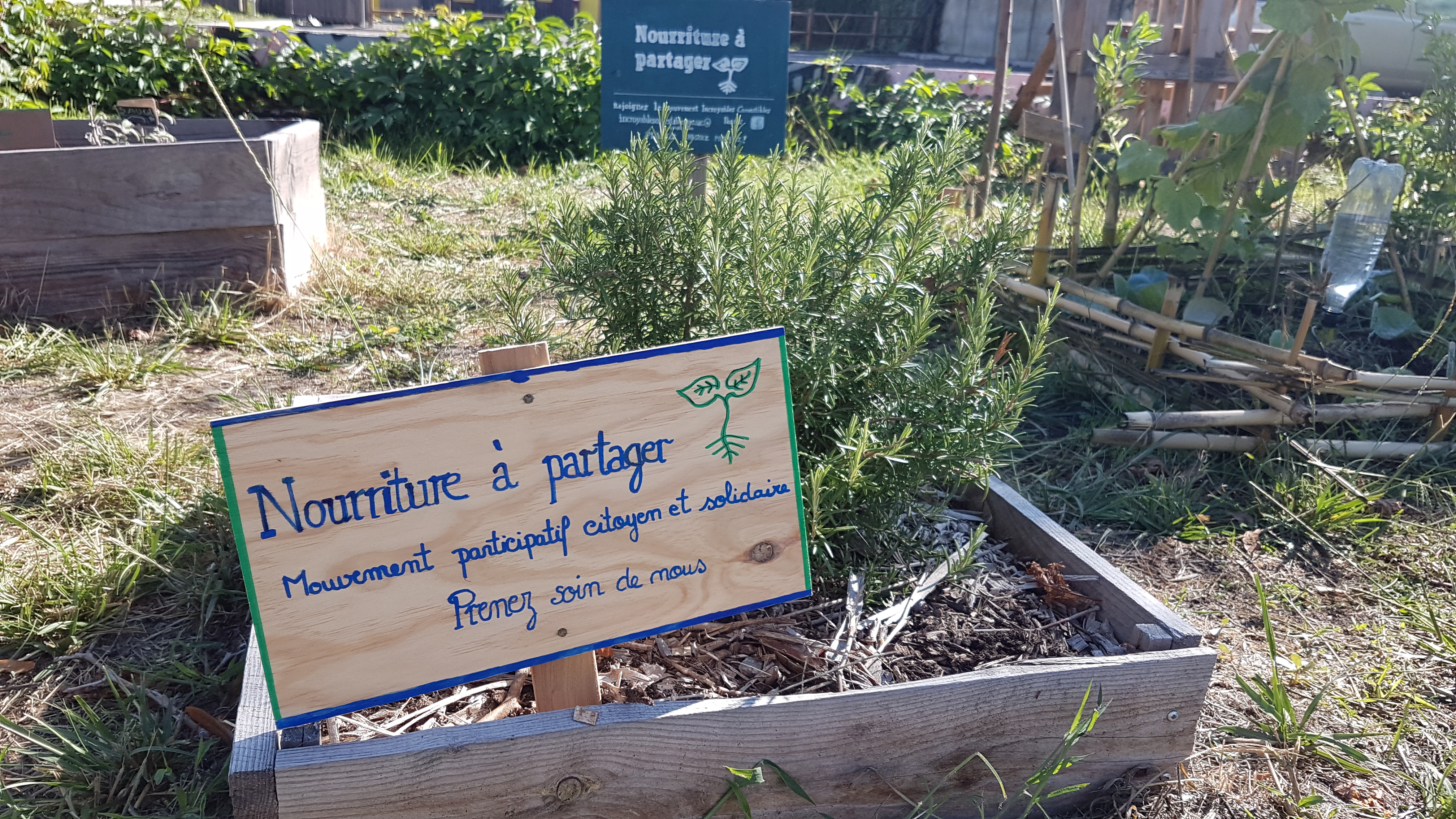 Image média: Aménagement d'un jardin partagé Incroyables Comestibles à Pessac Sardine
