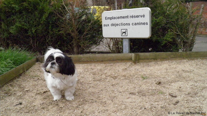 dejection
