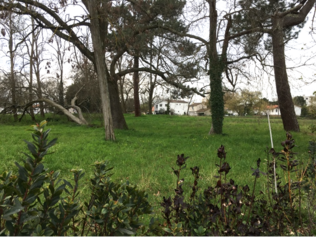 Photo budget participatif.png