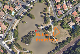 Image média: Haies fruitières pour l’éco-parc Jozereau, Quartier de l'Alouette