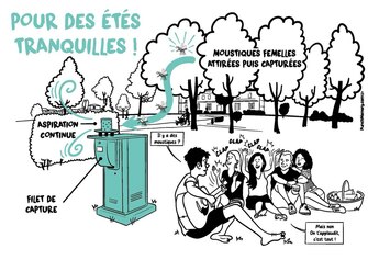 Démoustication : Profitez des soirées sans fermer les fenêtres ni renoncer à la terrasse !