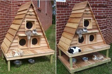 Des Refuges pour  animaux