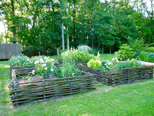 Planter des herbes aromatiques en libre service sur les espaces verts